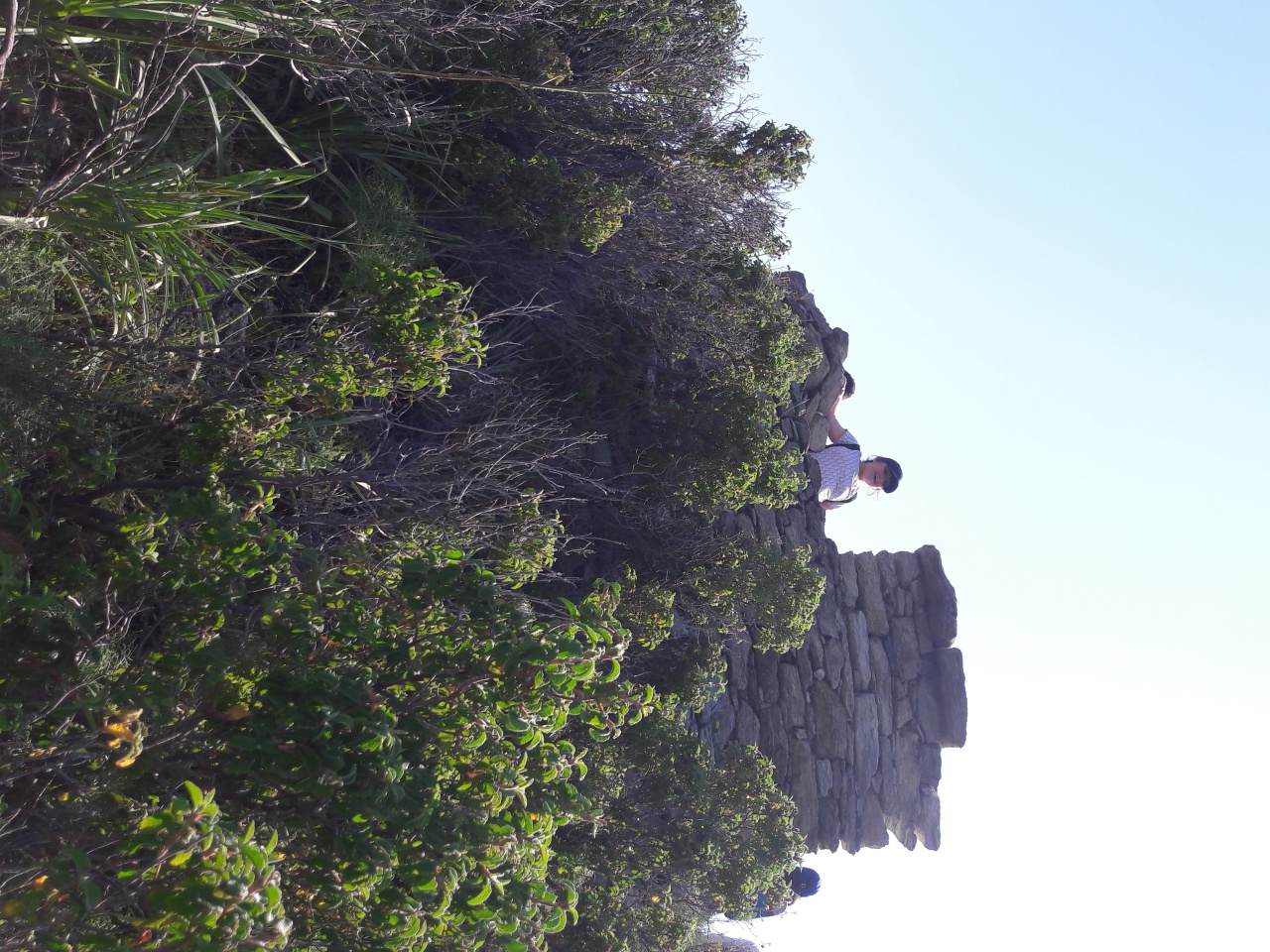 20170404_115126 20170404_115126