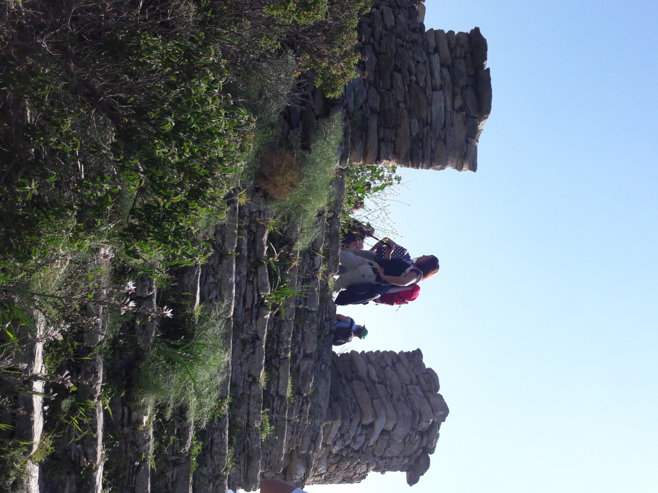 20170404_115141 20170404_115141