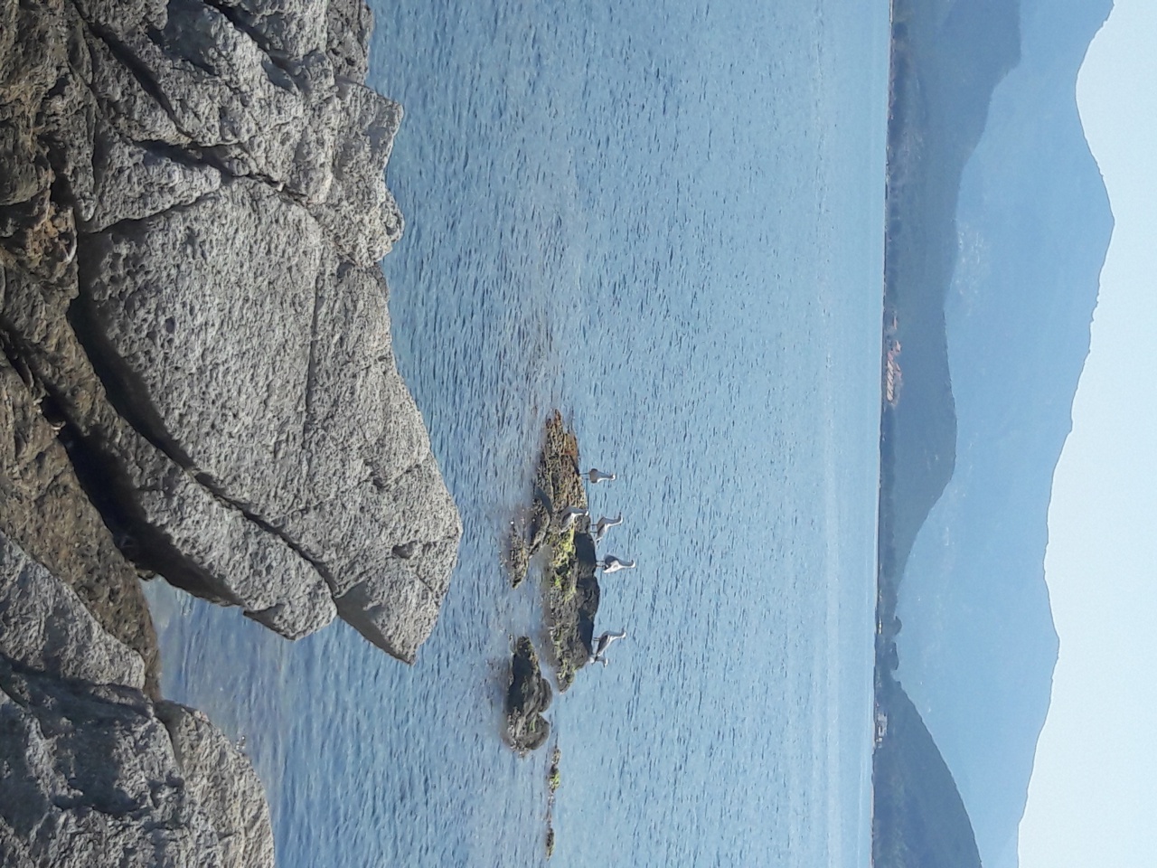 20170404_132403 20170404_132403