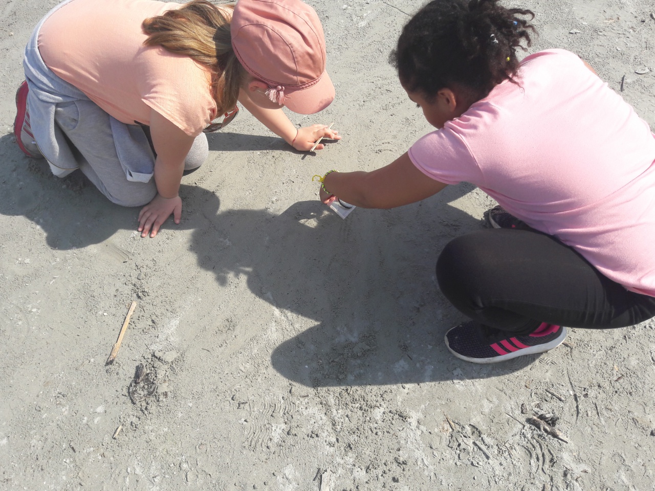 20170404_143900 20170404_143900