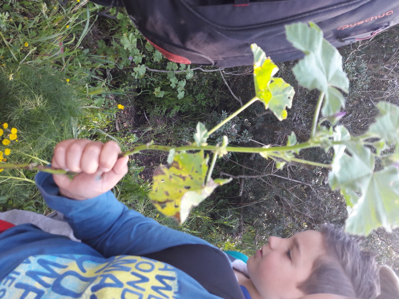 20170404_103828 20170404_103828