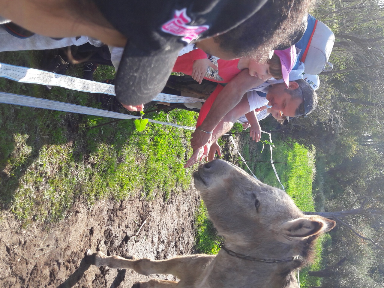 20170404_104436 20170404_104436