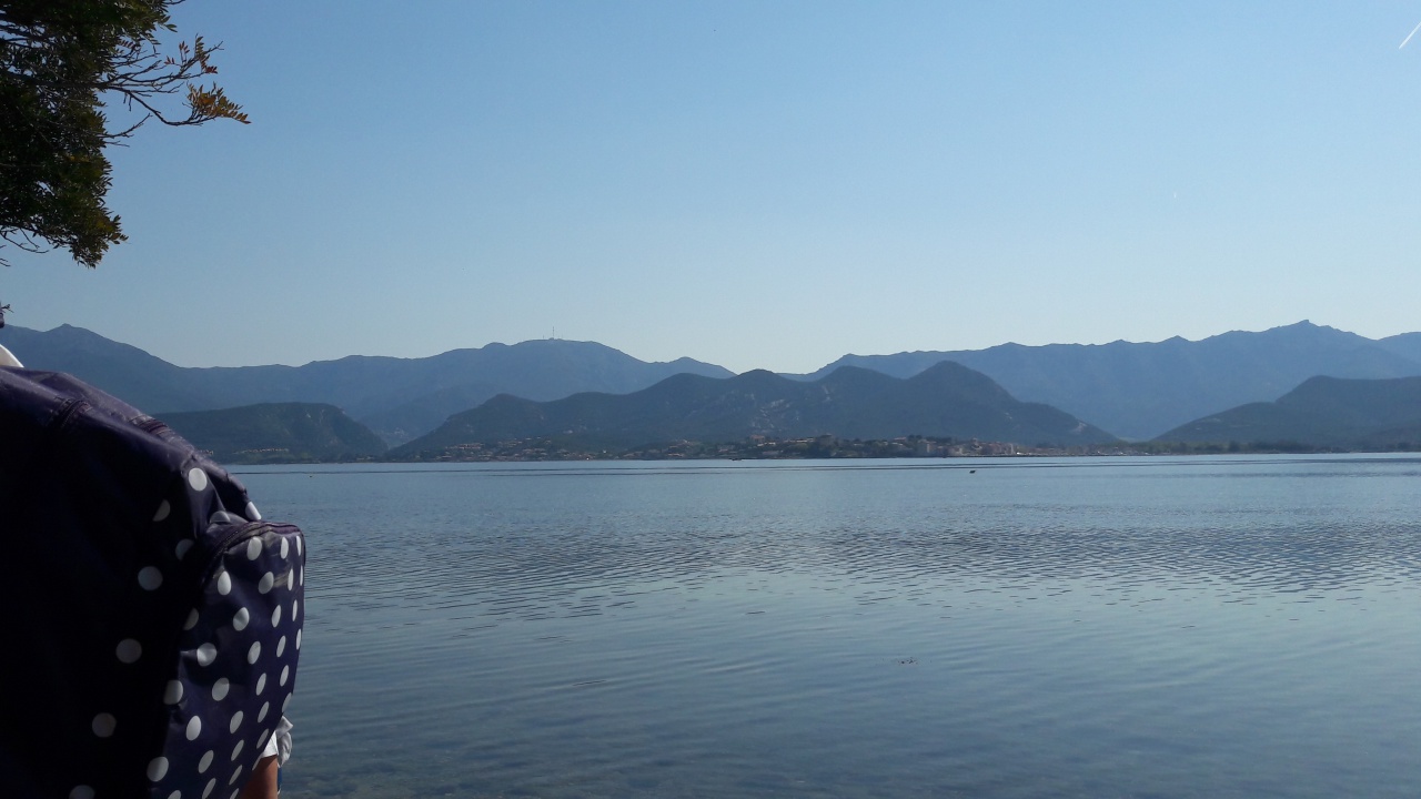 20170404_111936 20170404_111936