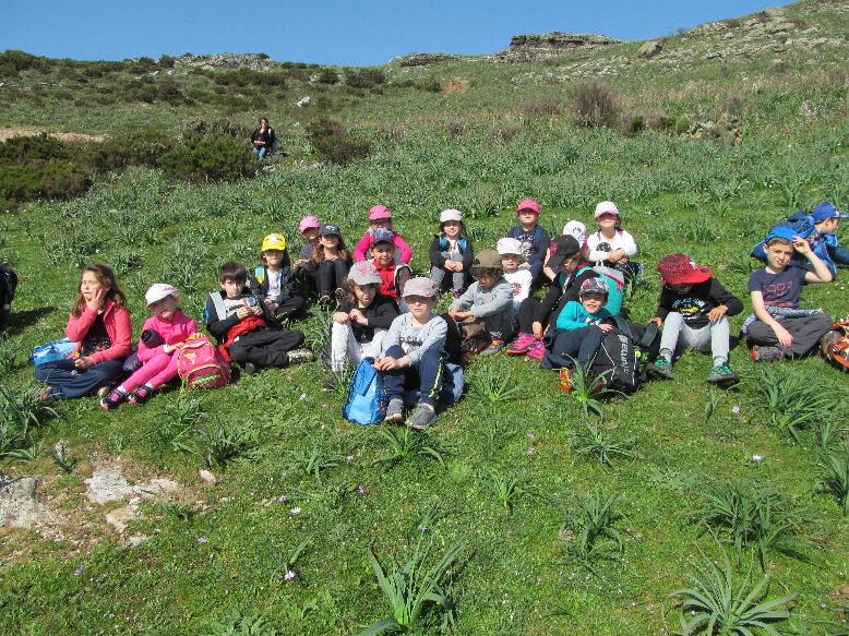 6.pusemu è amparemu e piante 6.pusemu è amparemu e piante