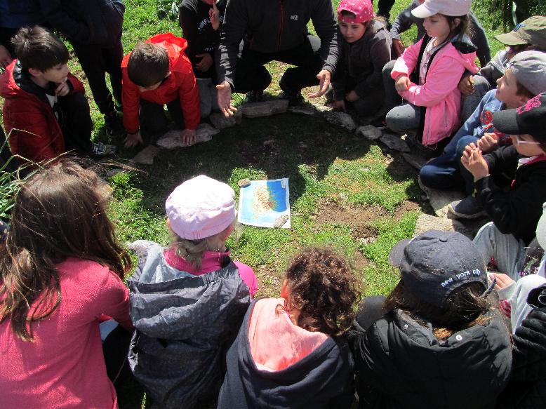 12 Ci ghuvemu di una carta 12 Ci ghuvemu di una carta