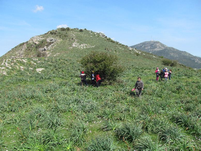 11. ghjuchemu 11. ghjuchemu