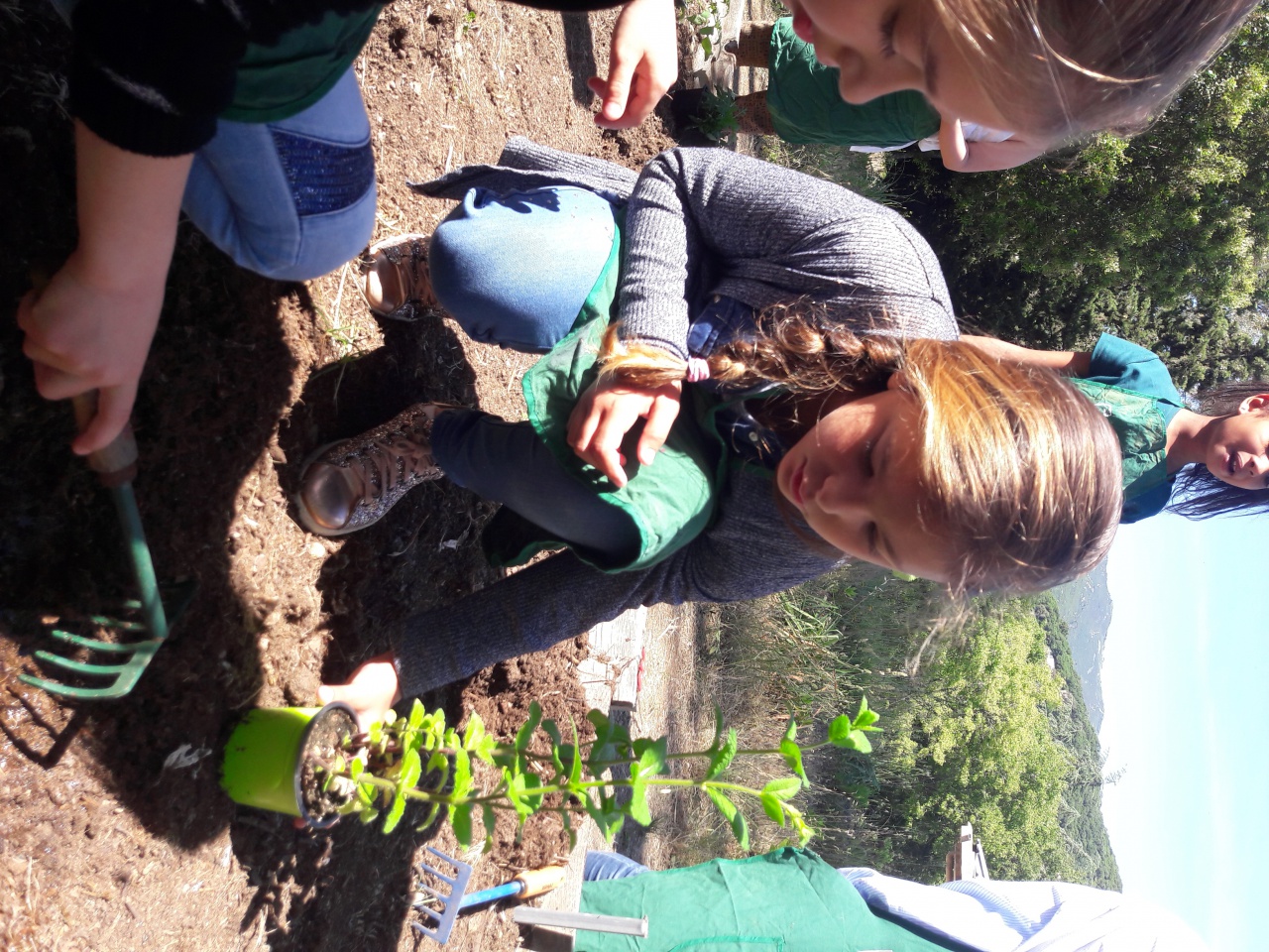 20170516_104951 20170516_104951