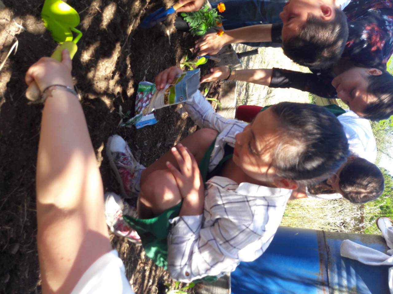 20170516_105003 20170516_105003