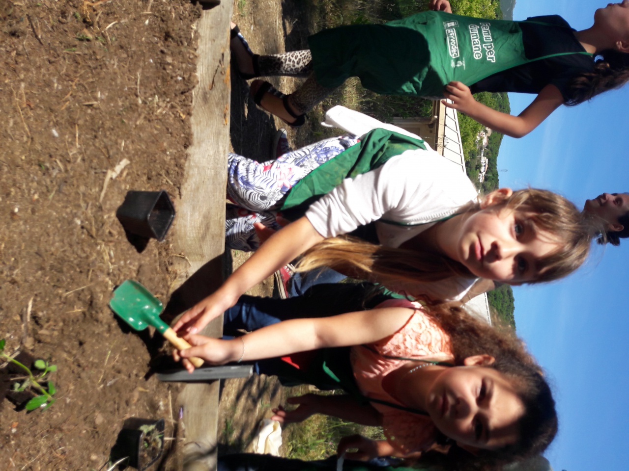 20170516_105012 20170516_105012