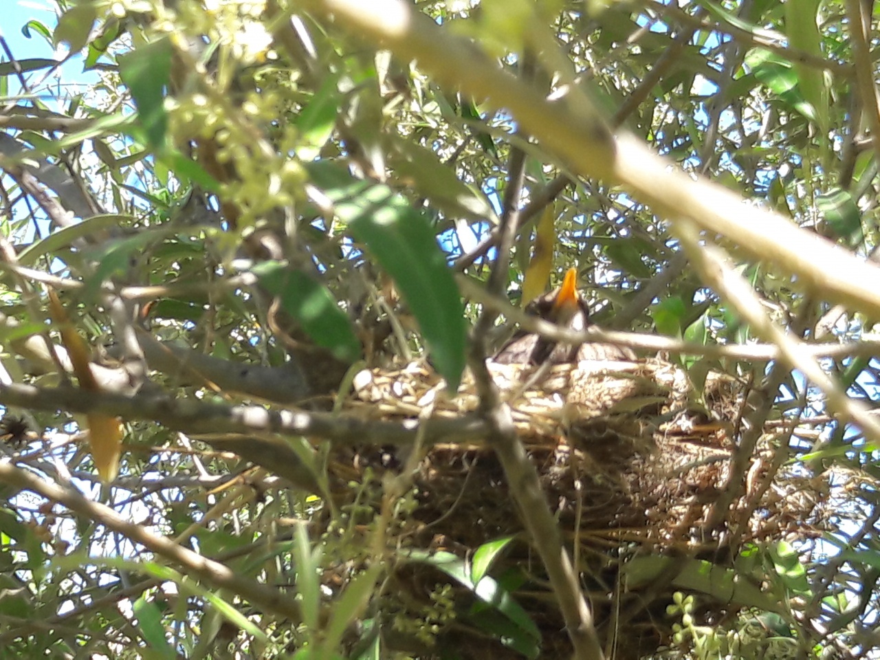 20170516_111655 20170516_111655