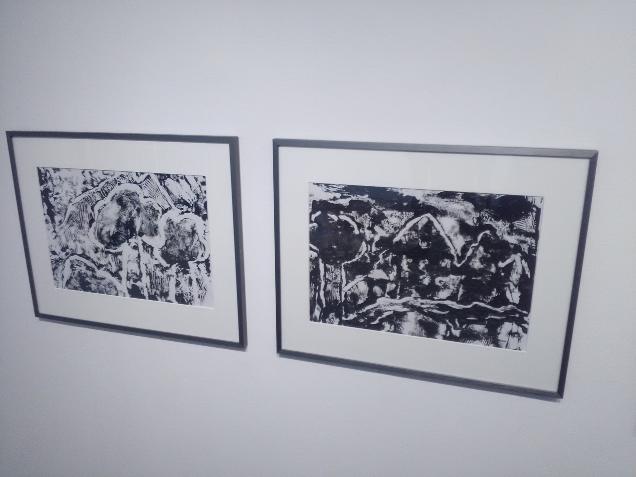 IMG_20170524_171242 IMG_20170524_171242