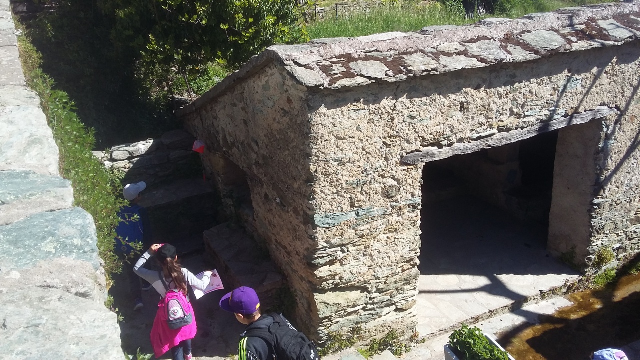 20170411_105309 20170411_105309