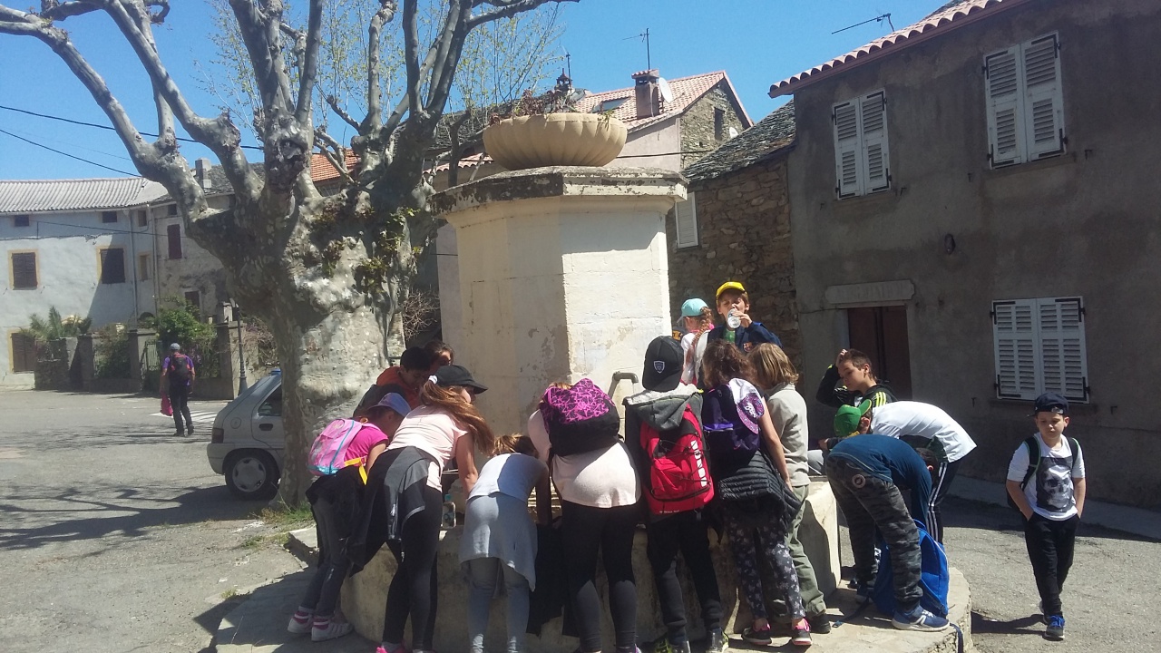 20170411_132013 20170411_132013