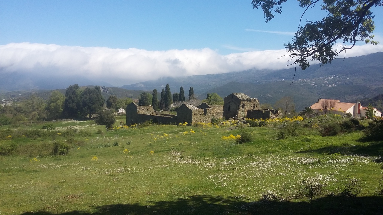 20170411_133835 20170411_133835