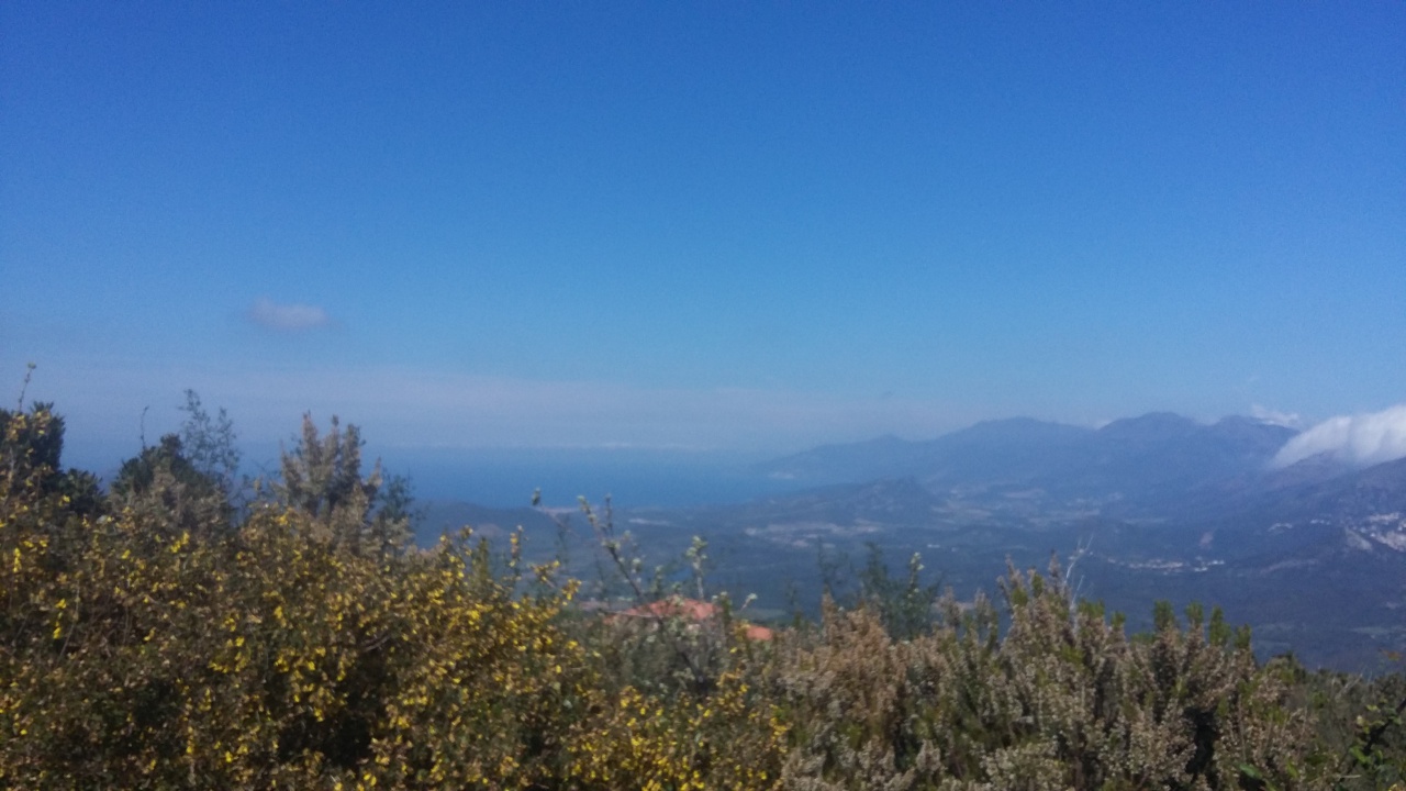 20170411_140317 20170411_140317