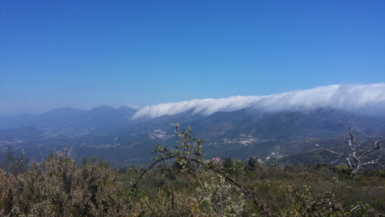 20170411_140320 20170411_140320