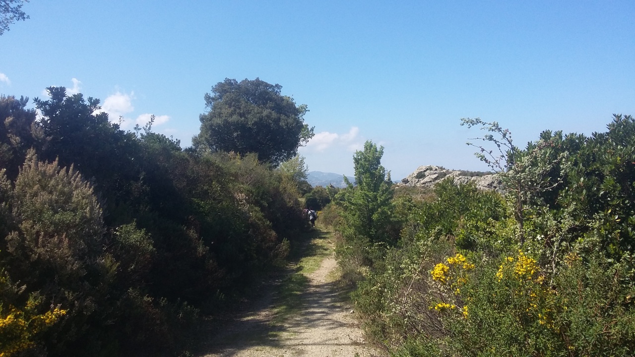 20170411_140323 20170411_140323