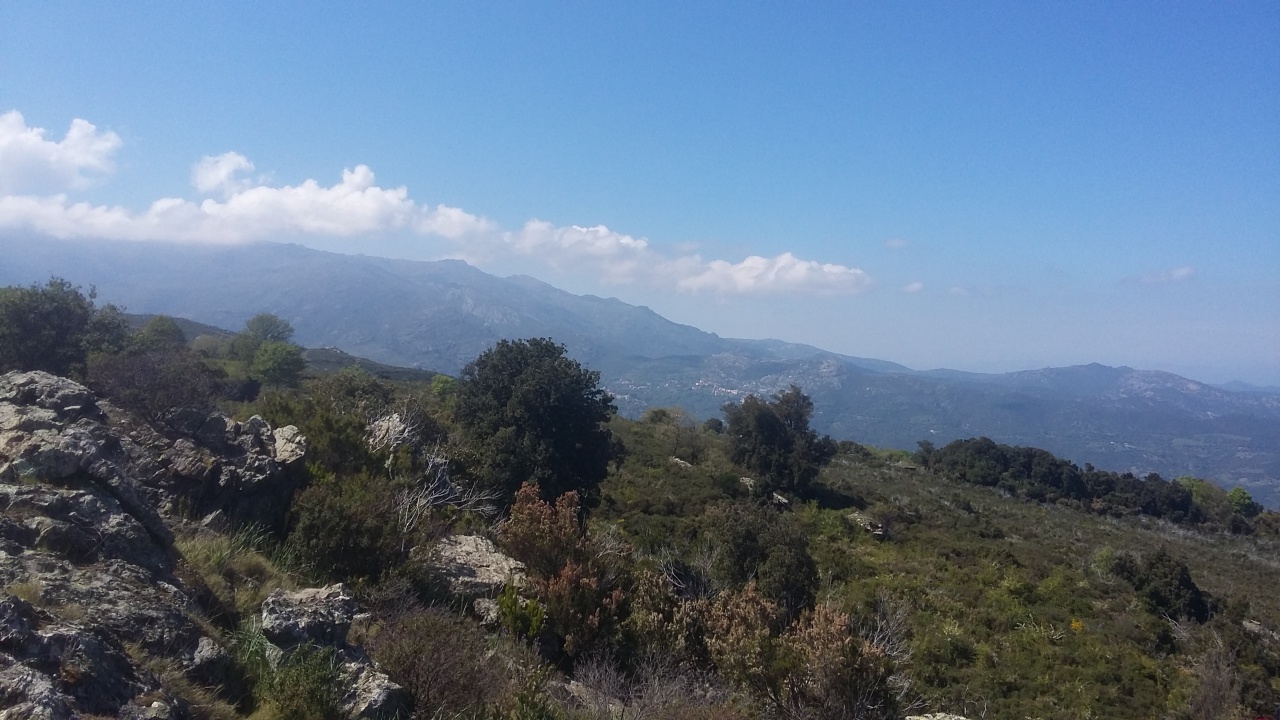 20170411_140706 20170411_140706