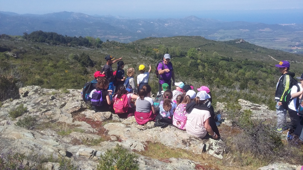 20170411_140709 20170411_140709