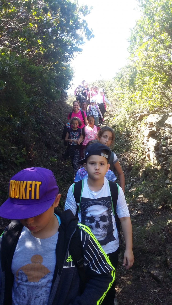 20170411_144009 20170411_144009