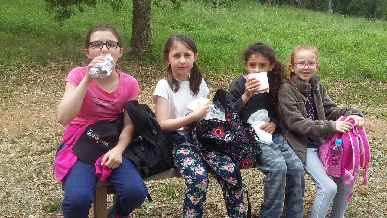 20170512_115503 20170512_115503