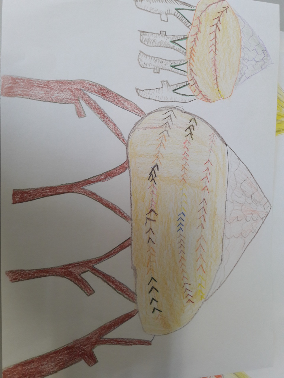 20170523_111050 20170523_111050