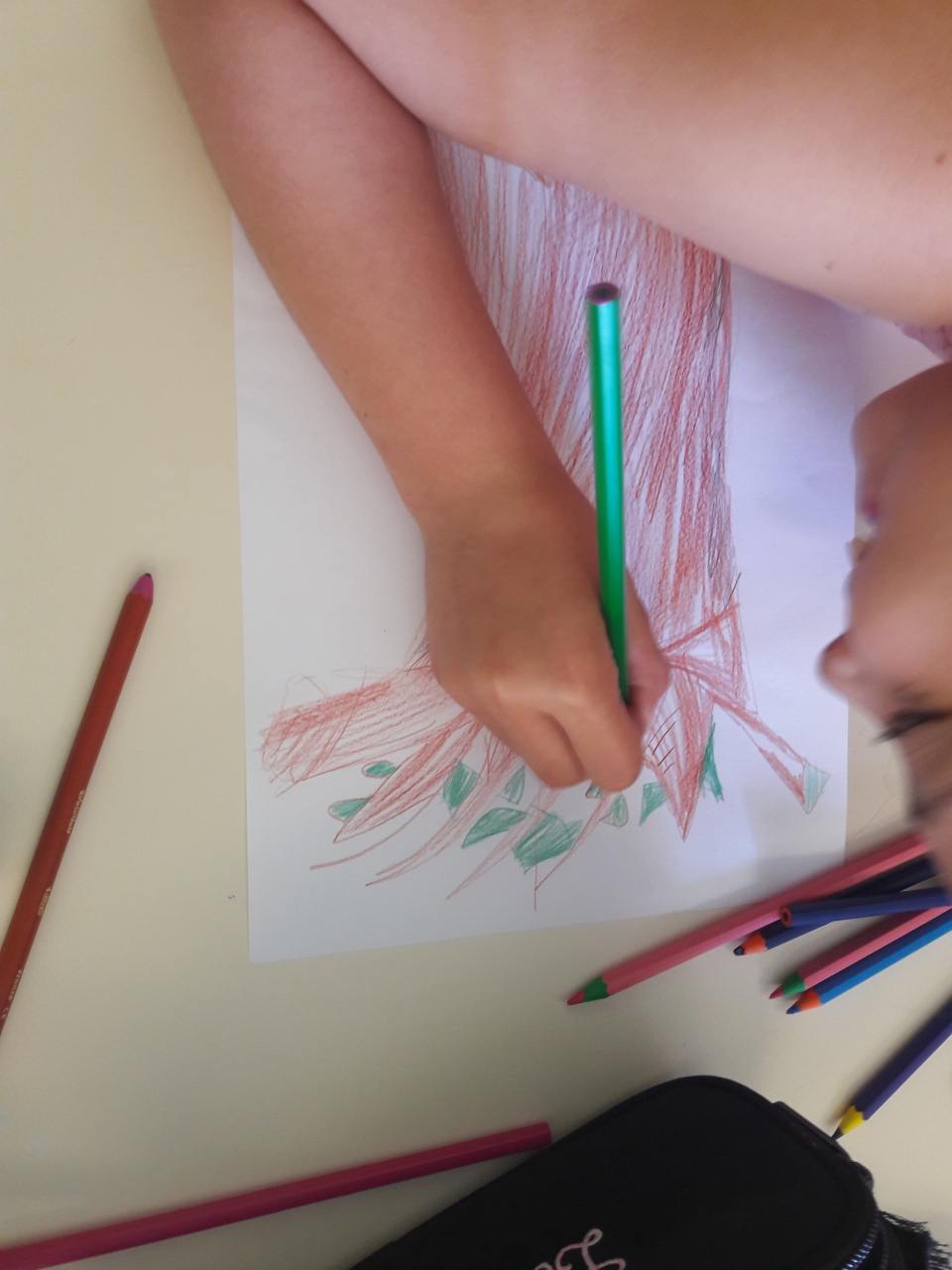 20170523_112350 20170523_112350