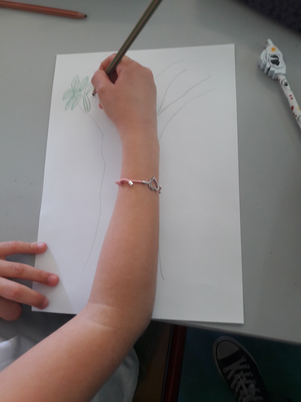 20170523_112337 20170523_112337