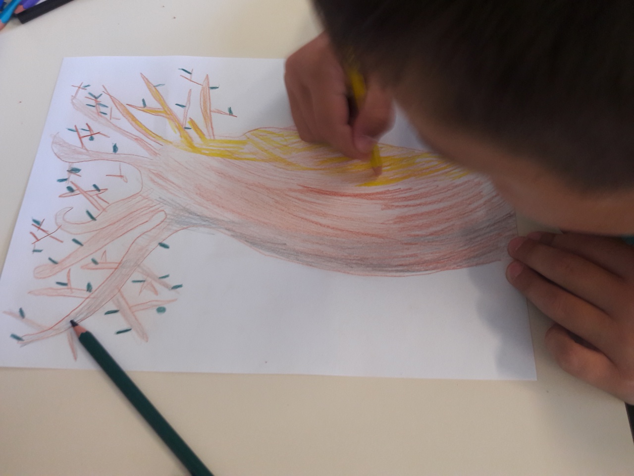 20170523_112357 20170523_112357