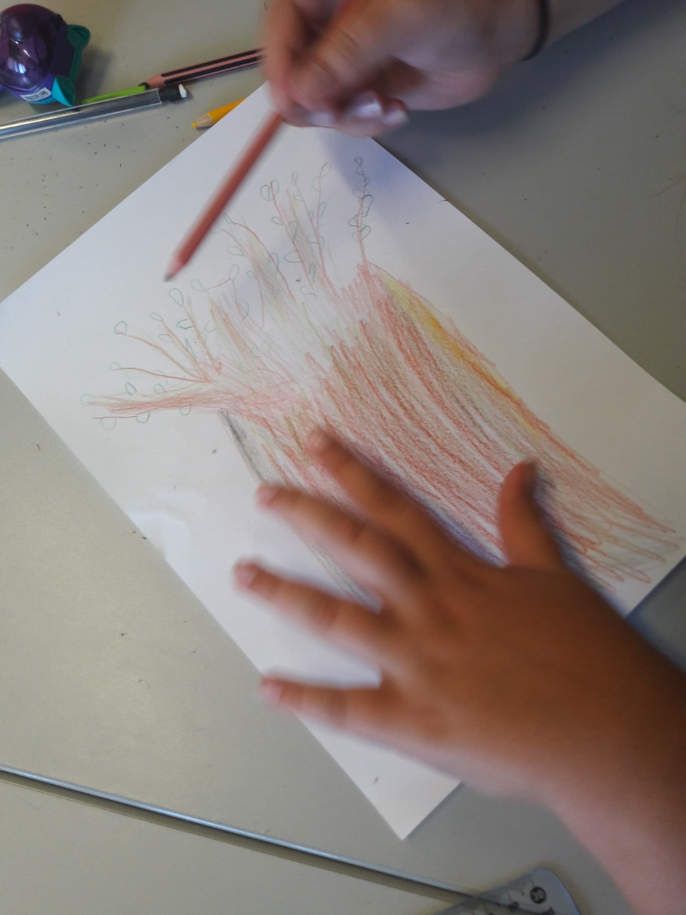 20170523_112427 20170523_112427