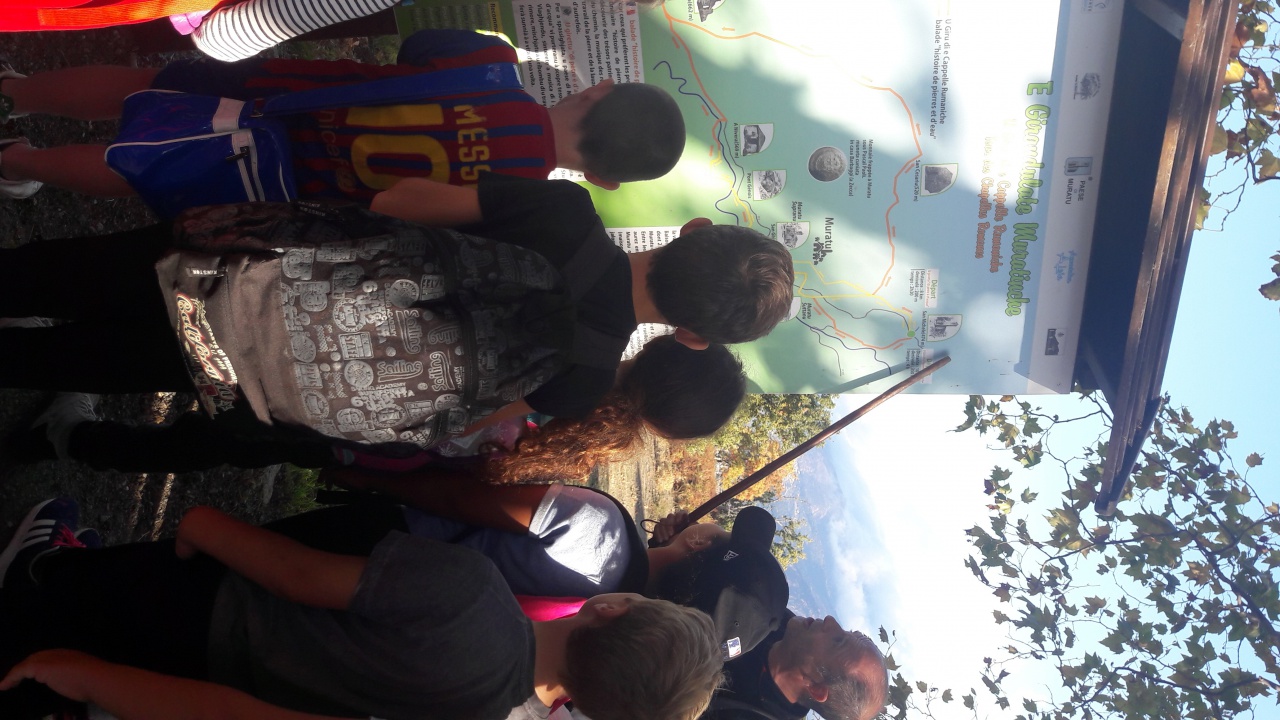 20171020_100702 20171020_100702