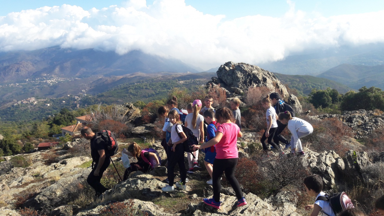 20171020_110126 20171020_110126