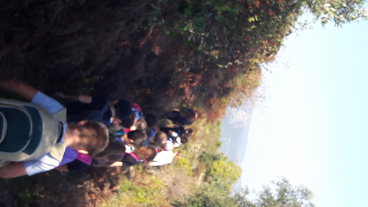 20171020_112533 20171020_112533