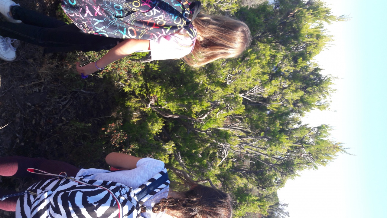 20171020_114504 20171020_114504