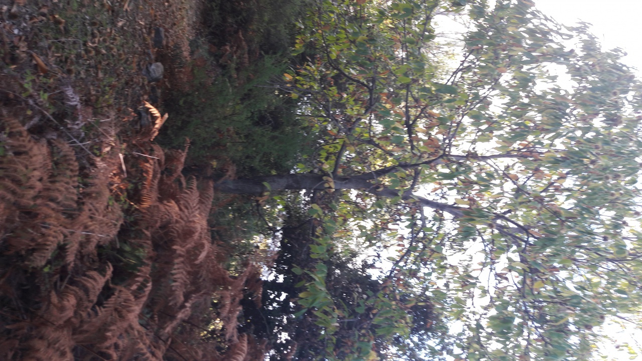 20171020_124103 20171020_124103