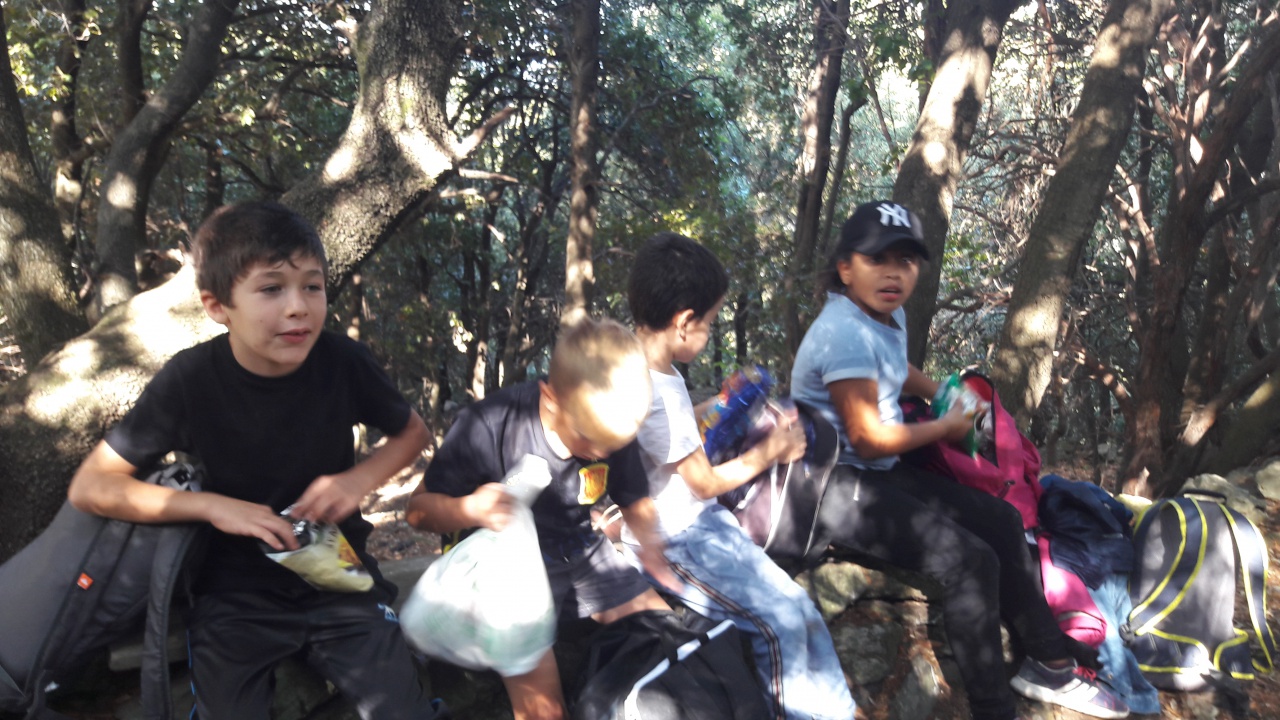 20171020_124236 20171020_124236