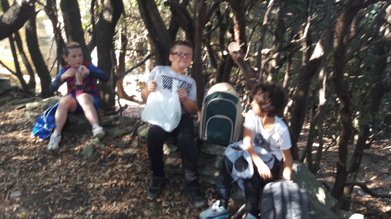 20171020_124245 20171020_124245