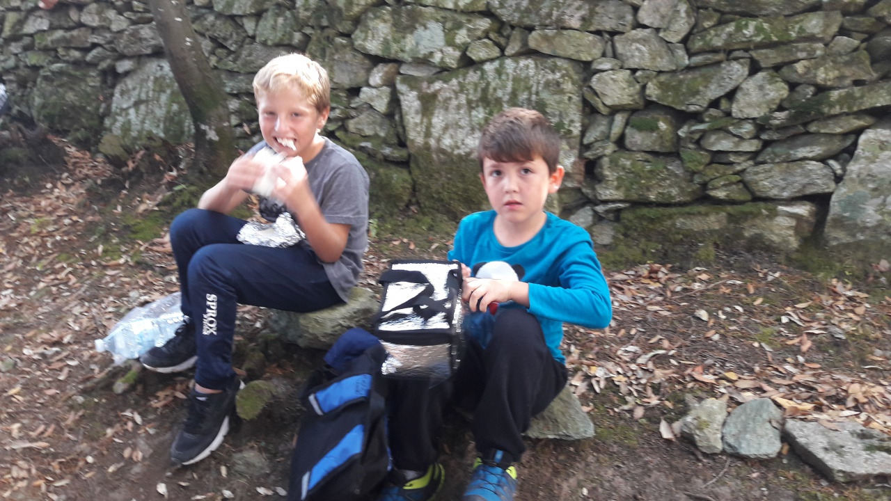 20171020_124308 20171020_124308