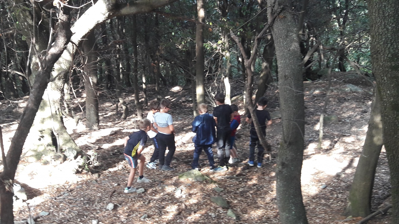 20171020_132749 20171020_132749