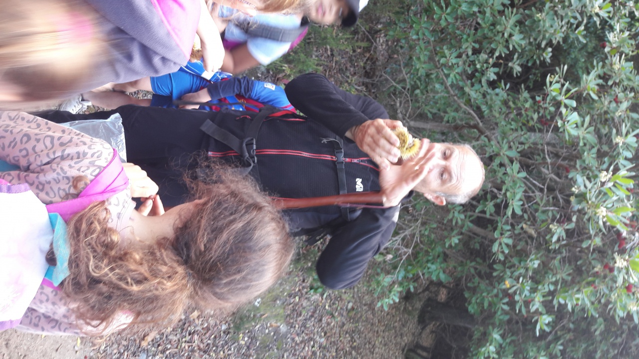 20171020_140548 20171020_140548