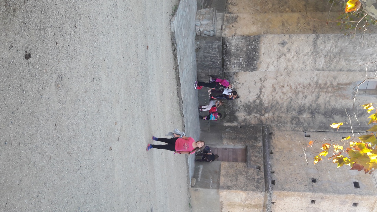 20171020_151108 20171020_151108