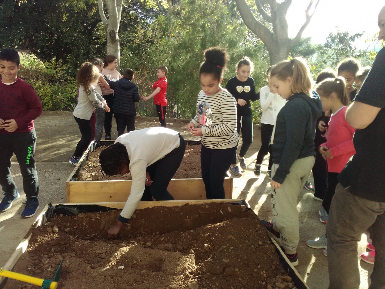 IMG_20171127_140440 IMG_20171127_140440