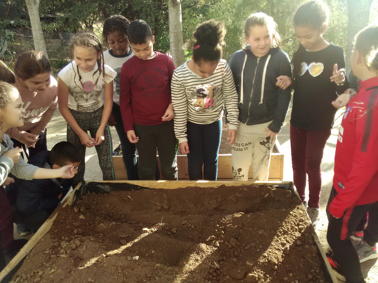 IMG_20171127_140540 IMG_20171127_140540