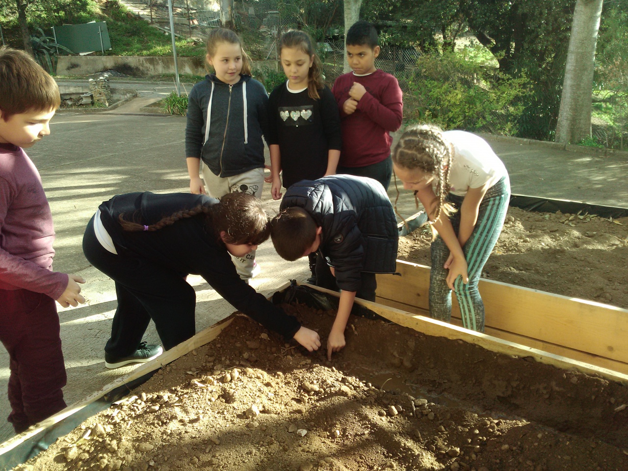 IMG_20171127_140734 IMG_20171127_140734