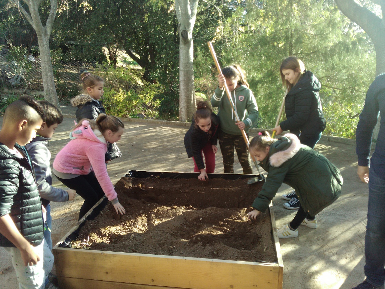 IMG_20171127_145347 IMG_20171127_145347