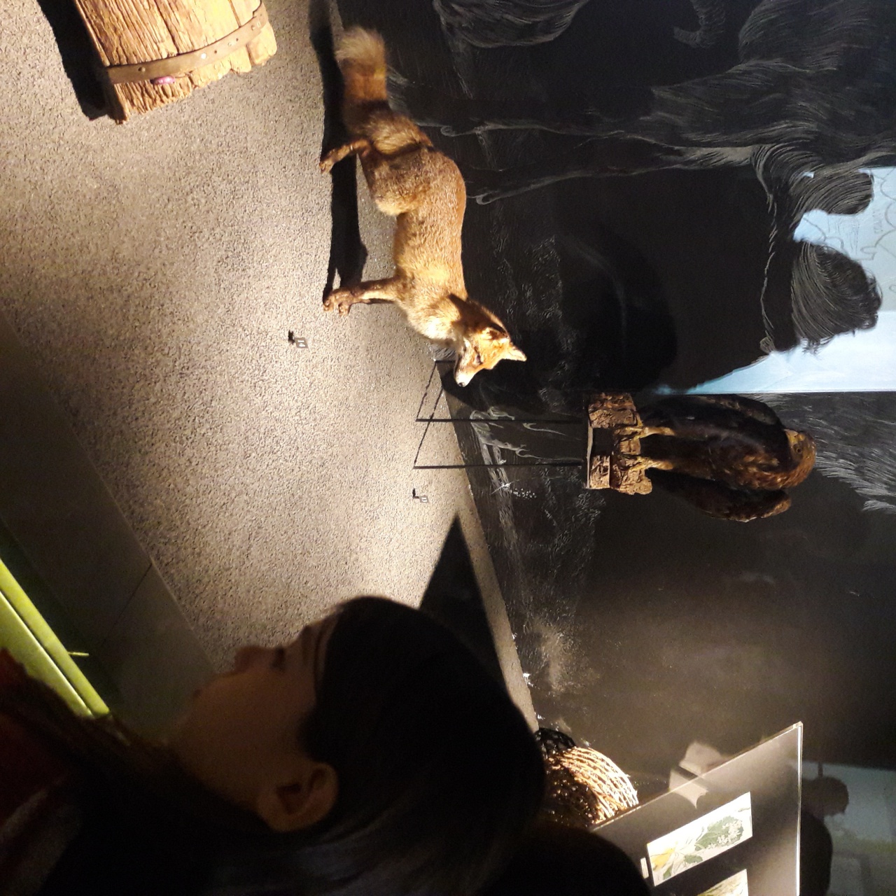 20171128_110257 20171128_110257