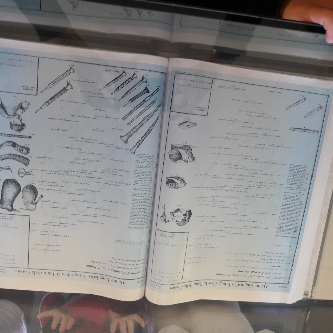 20171128_111601 20171128_111601