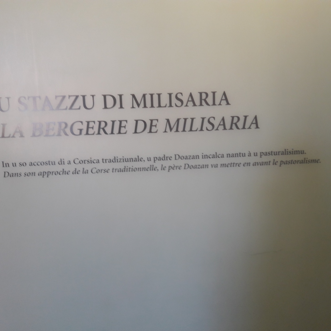 20171128_113502 20171128_113502