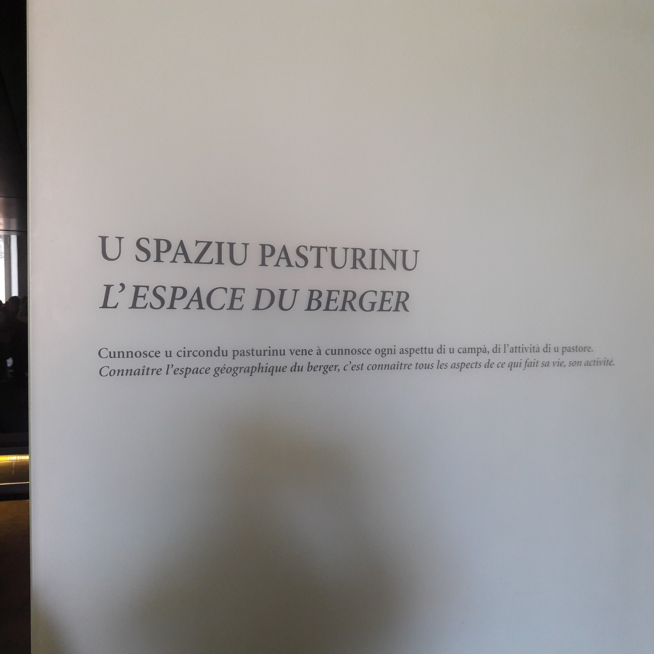 20171128_114503 20171128_114503