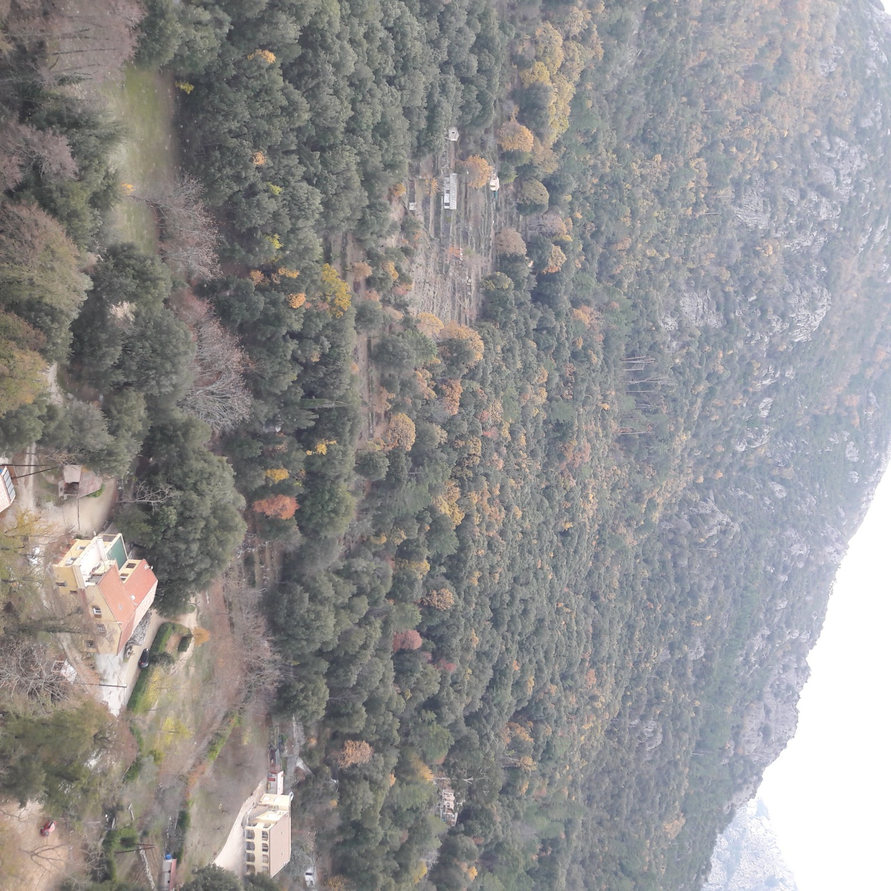 20171128_133651 20171128_133651